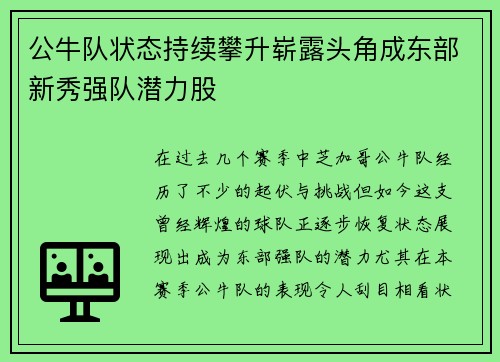 公牛队状态持续攀升崭露头角成东部新秀强队潜力股